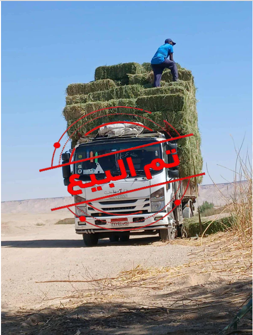 ايسوزو 2014