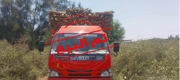 2015 كريستاله