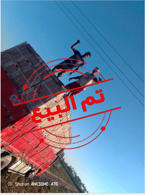 جامبو 2016